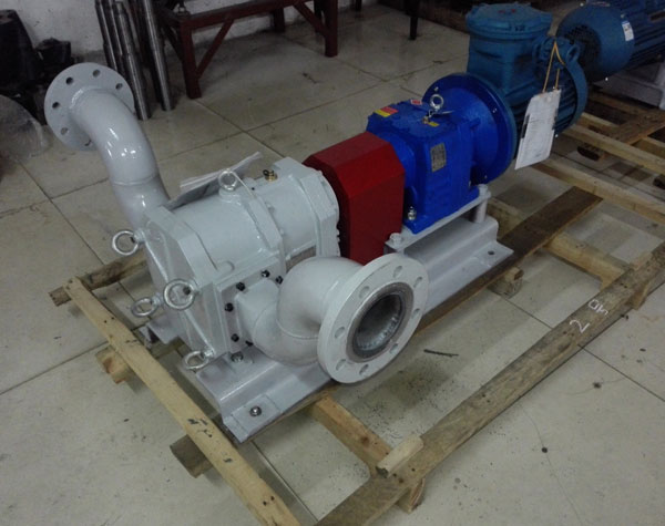 轉子泵廠家哪家好?怎么守護市場?