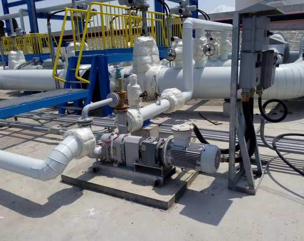 不銹鋼凸輪轉子泵型號 不銹鋼凸輪轉子泵型號